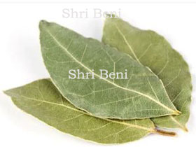 Bay Leaves